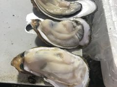 -大湾区中央湿地公园-十九涌