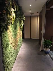 -禾颜社·精致美容
