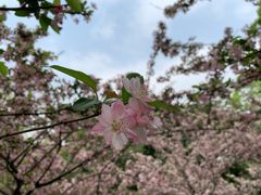 -四川大学(望江校区)