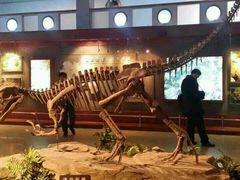 android_upload_pic-自贡恐龙博物馆