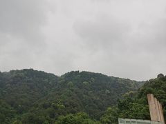 -铁山坪森林公园