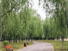 -东郊湿地公园