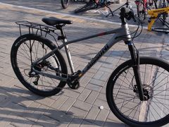 -道路口单车爱瓦士dahon大行