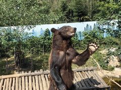 -济南野生动物世界