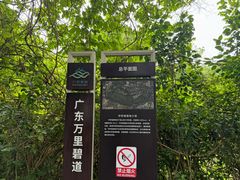-华侨城湿地公园