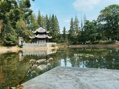 -习家池