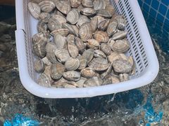 -谭十三大排档·18年老字号(船山路总店)