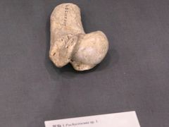 -北京周口店北京人遗址博物馆