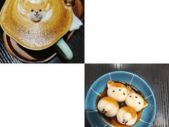 -逗柴咖啡屋·狗咖猫咖宠物桌游
