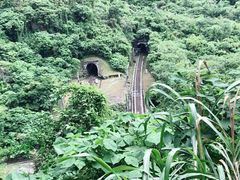 -太鲁阁公园