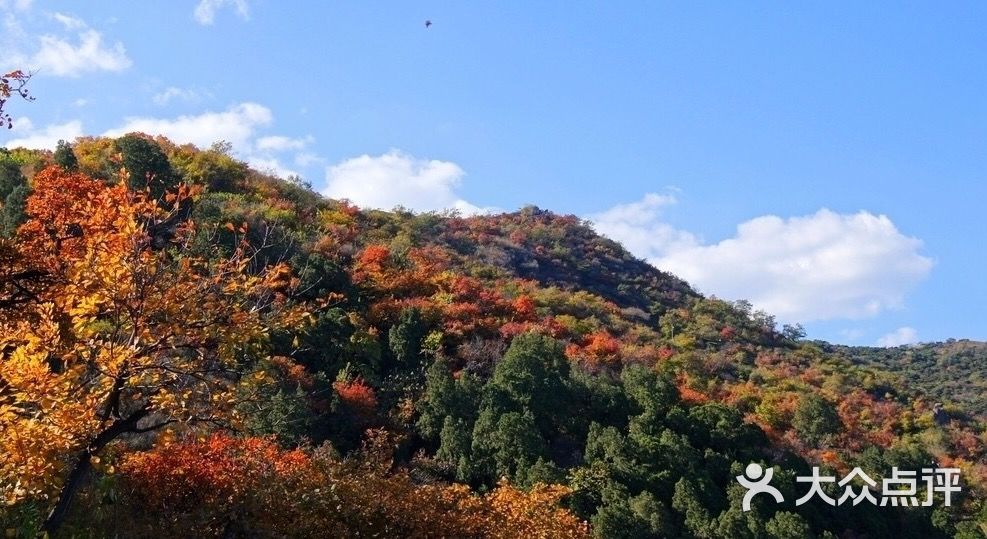 香山公園-圖片-北京周邊遊-大眾點評網