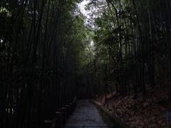 -敬亭山风景名胜区