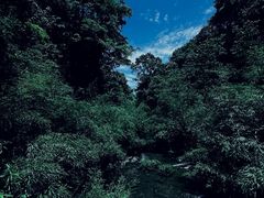 -龙苍沟森林公园