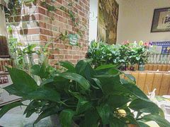 -草原塞蛮羊火锅城(港湾店)