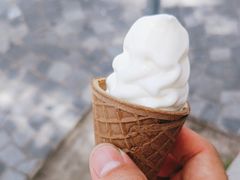 -富豪雪糕车流动点(尖沙咀店)