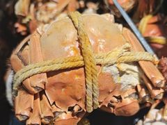 -517烧烤·龙虾·海鲜大排档(万象都荟店)