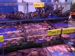 水产区-四海之家(蛇口店)