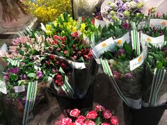 -双季花艺园艺市场(浦东店)