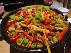 火爆仔姜鱼肚-成都吃客(九眼桥店)