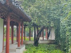 -亮马河饭店翠雅咖啡厅