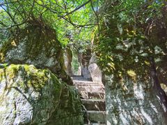 -山王坪喀斯特国家生态公园