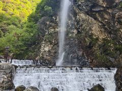 -少华山国家森林公园