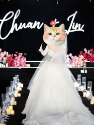 -南昌喜来登酒店·宴会厅