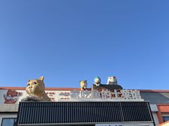 -向外鱼乐·土菜·虹鳟鱼