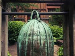 -普林斯顿大学