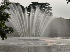 -东莞植物园