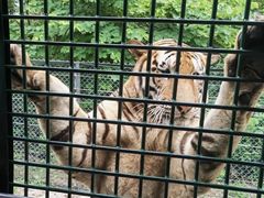 -深圳野生动物园
