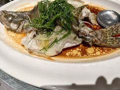 -悦来轩顺德菜(寮厦店)