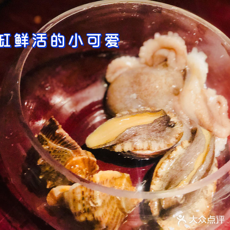 武汉探店|第一次吃活烤八爪鱼