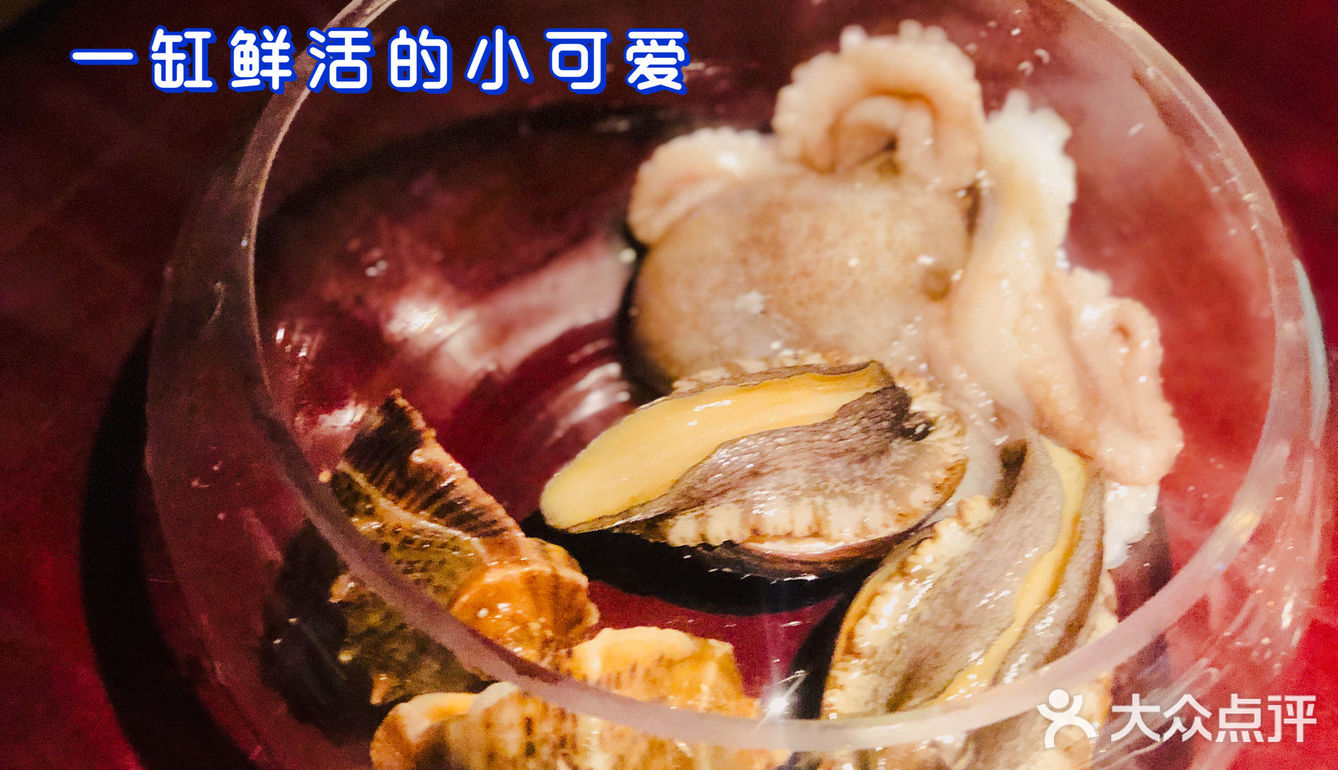 武汉探店|第一次吃活烤八爪鱼