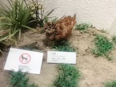 -舟山博物馆