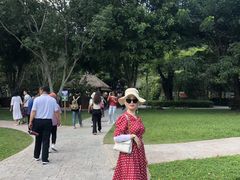 -西双版纳原始森林公园