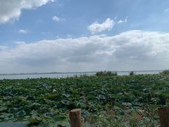 -七的湖·晚芳亭·阳澄湖农家菜·大闸蟹(莲花岛店)