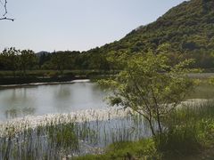 -八卦田遗址公园