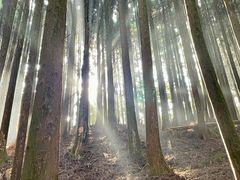 -山王坪喀斯特国家生态公园