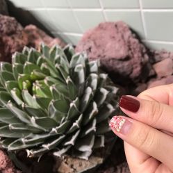 -LILY NAILS美甲美睫
