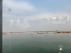 -白洋淀景区