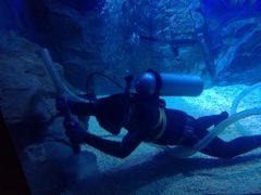 -烟台海昌鲸鲨海洋公园