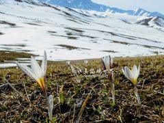 -新疆那拉提国家旅游度假区