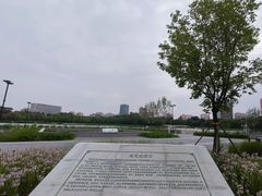 -莲花池公园