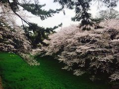 -名古屋城