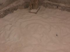 -观唐（国际）度假村温泉