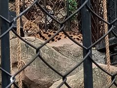 -大连森林动物园