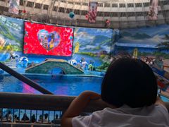 -海合安成都极地海洋公园