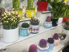 -哈尔滨道外花鸟鱼市场