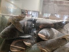 -上名堂·鱼头好吃(体育场路店)